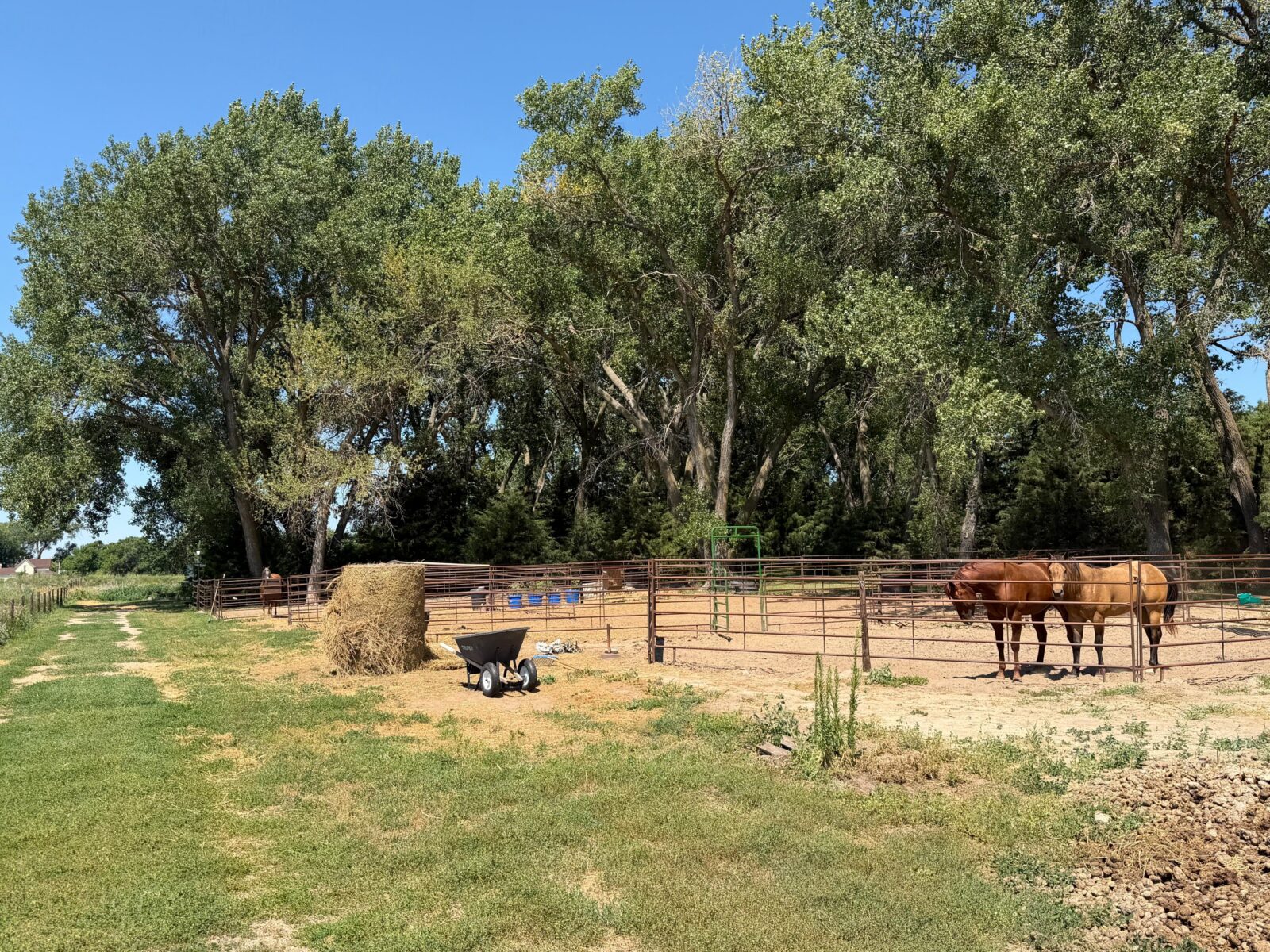 42444 US hwy 20 Ainsworth, Nebraska home and acreage for sale