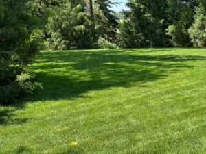 42444 US hwy 20 Ainsworth, Nebraska home and acreage for sale