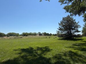 42444 US hwy 20 Ainsworth, Nebraska home and acreage for sale