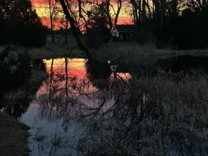 42444 US hwy 20 Ainsworth, Nebraska home and acreage for sale