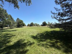 42444 US hwy 20 Ainsworth, Nebraska home and acreage for sale