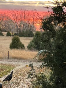 42444 US hwy 20 Ainsworth, Nebraska home and acreage for sale