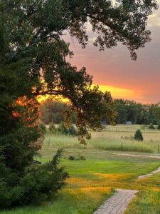 42444 US hwy 20 Ainsworth, Nebraska home and acreage for sale