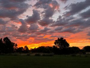 42444 US hwy 20 Ainsworth, Nebraska home and acreage for sale