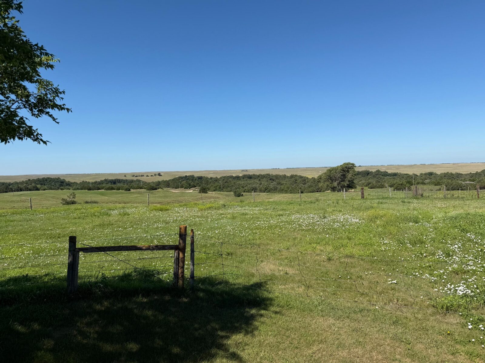 Long Pine, Nebraska acreage and land for sale