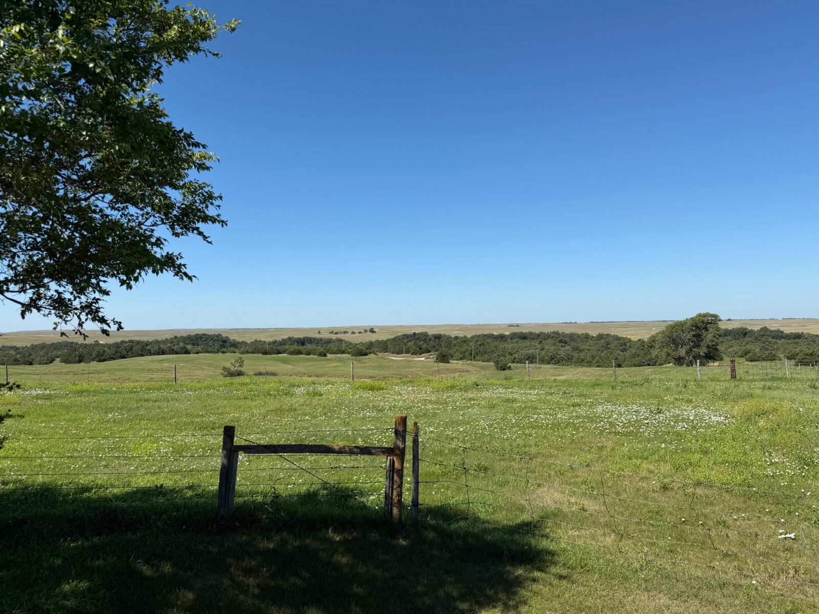 Long Pine, Nebraska acreage and land for sale