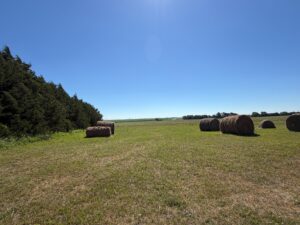 Long Pine, Nebraska acreage and land for sale