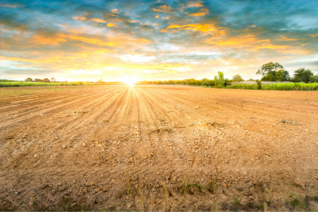 What Is "Buildable" Land? A Buyer's Guide to Building-Ready Lots  