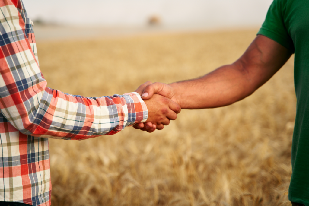 What Is "Buildable" Land? A Buyer's Guide to Building-Ready Lots  