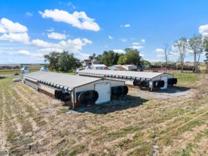 Cass County Nebraska farm livestock acreage for sale