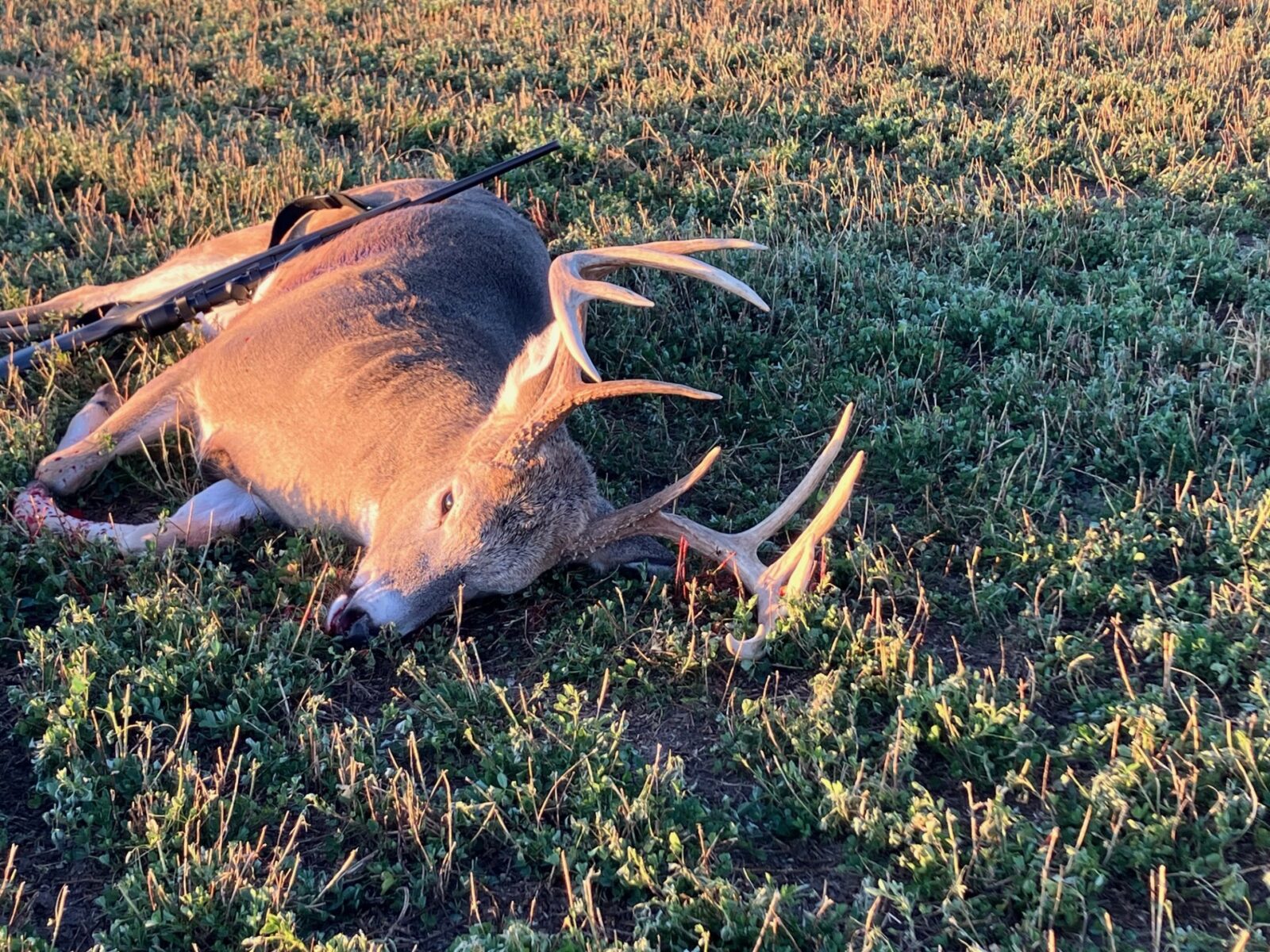 Custer County Nebraska hunting land for sale