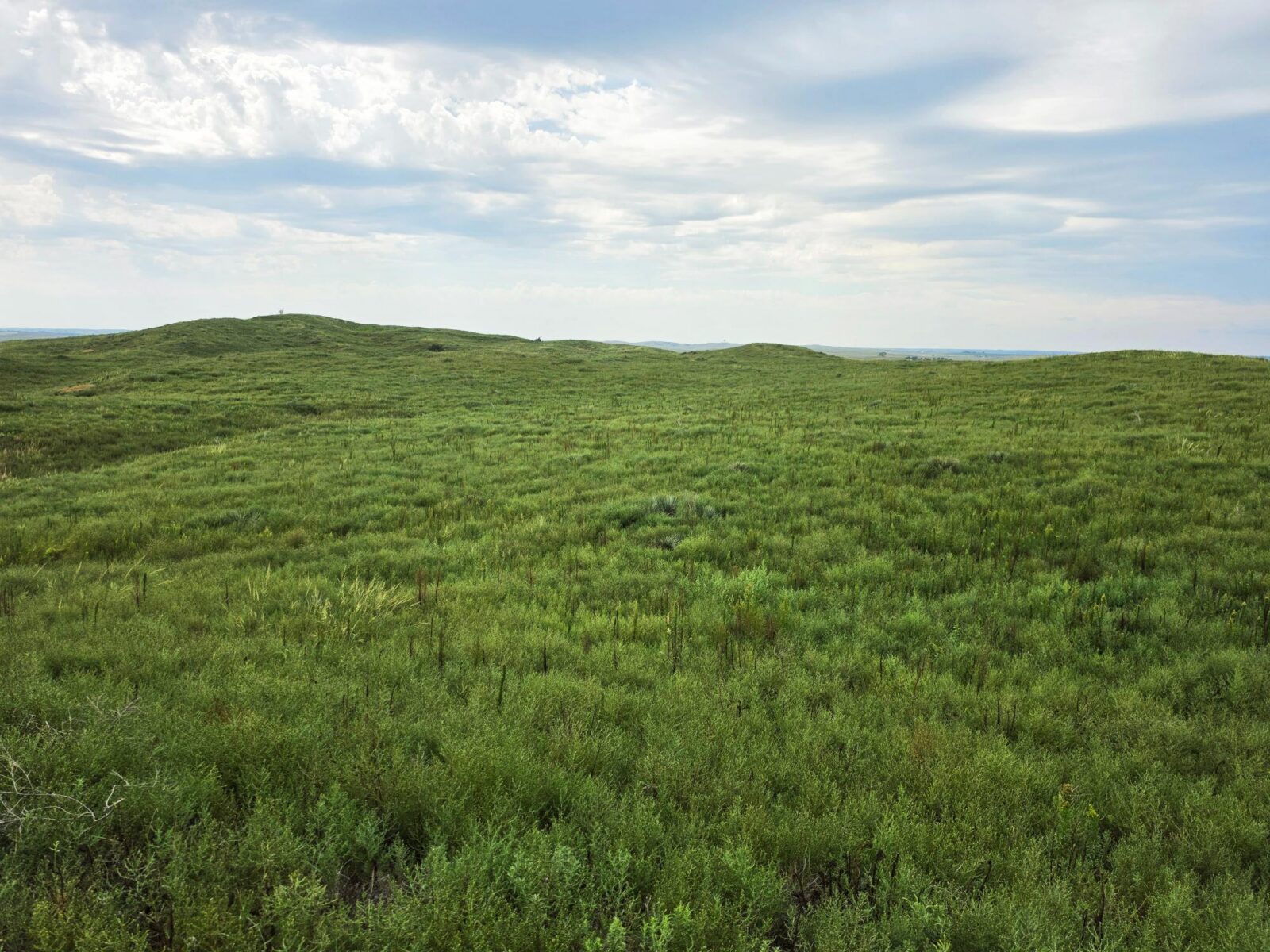 Lincoln County Nebraska ranch pasture land for sale