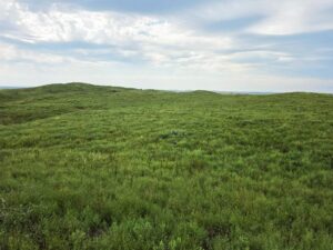 Lincoln County Nebraska ranch pasture land for sale