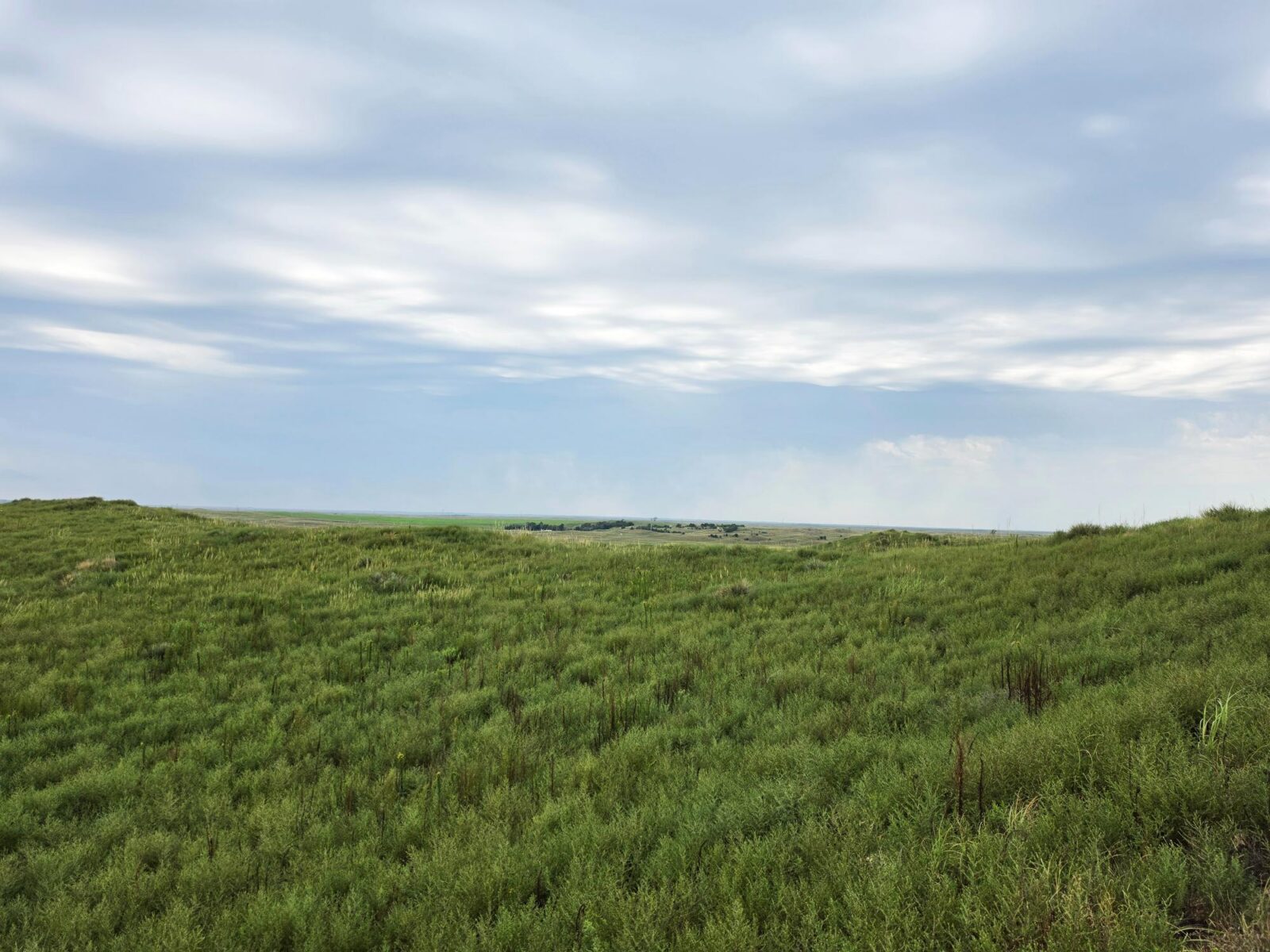 Lincoln County Nebraska ranch pasture land for sale