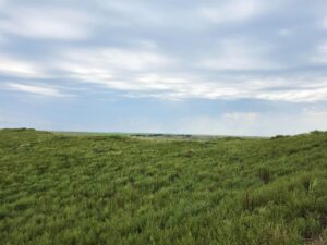 Lincoln County Nebraska ranch pasture land for sale