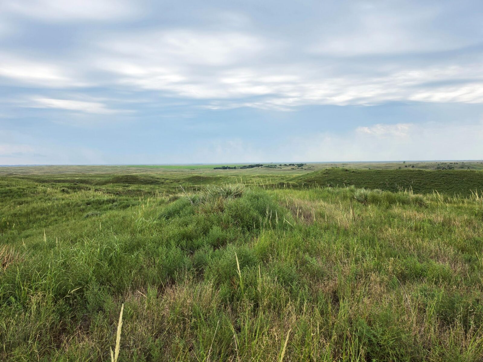 Lincoln County Nebraska ranch pasture land for sale