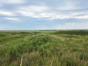 Lincoln County Nebraska ranch pasture land for sale
