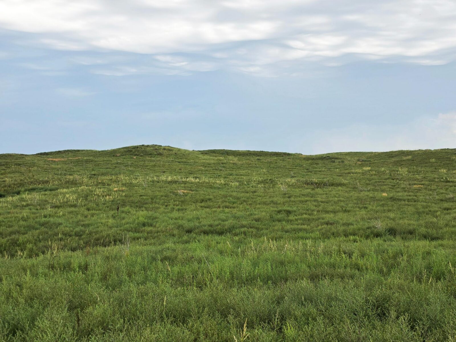Lincoln County Nebraska ranch pasture land for sale