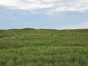 Lincoln County Nebraska ranch pasture land for sale
