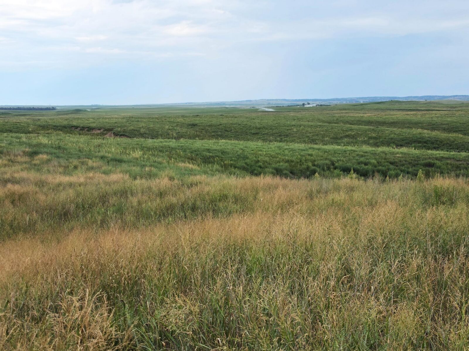 Lincoln County Nebraska ranch pasture land for sale