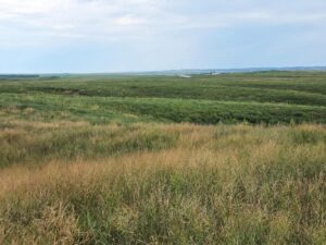 Lincoln County Nebraska ranch pasture land for sale