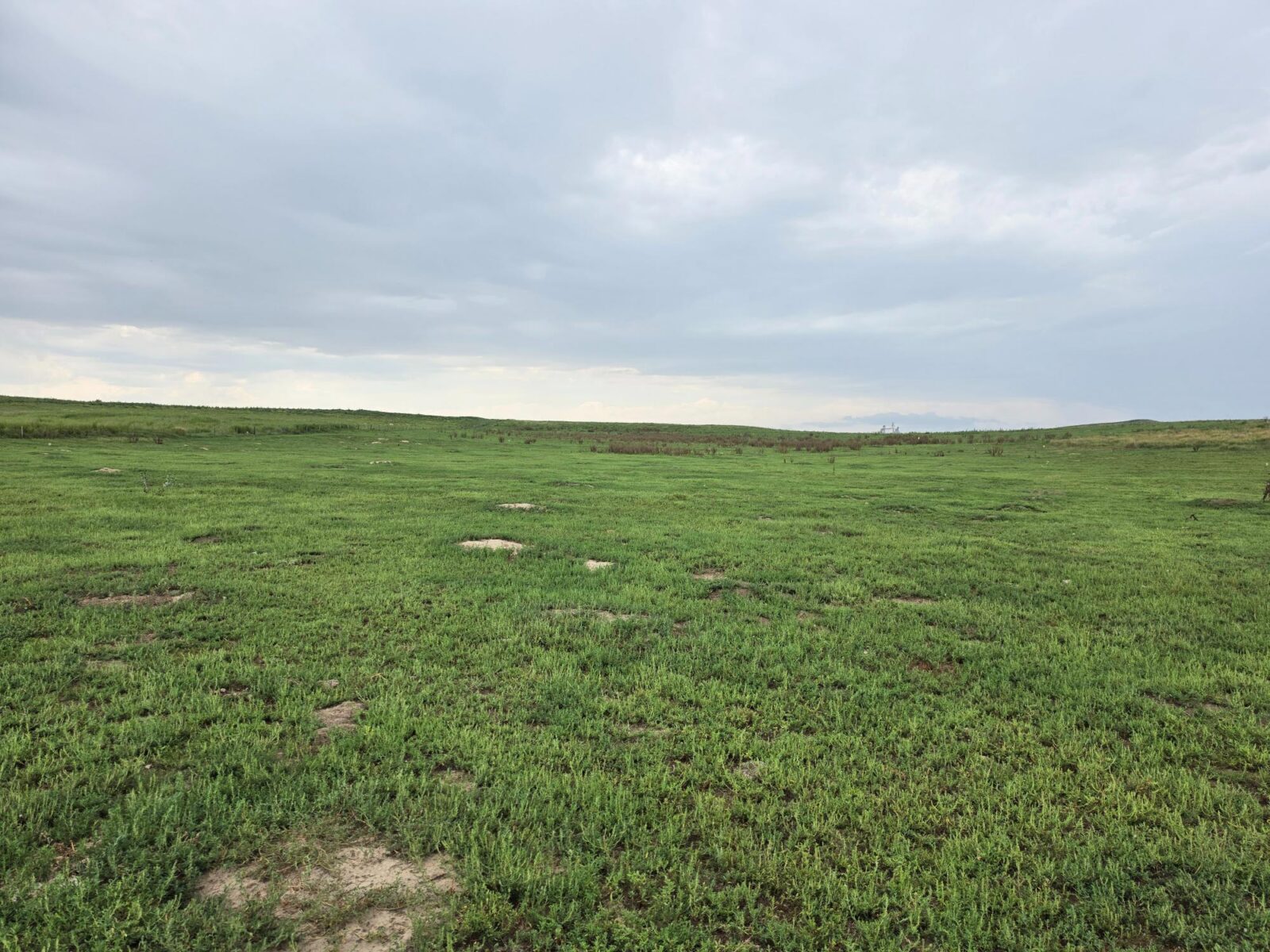 Lincoln County Nebraska ranch pasture land for sale
