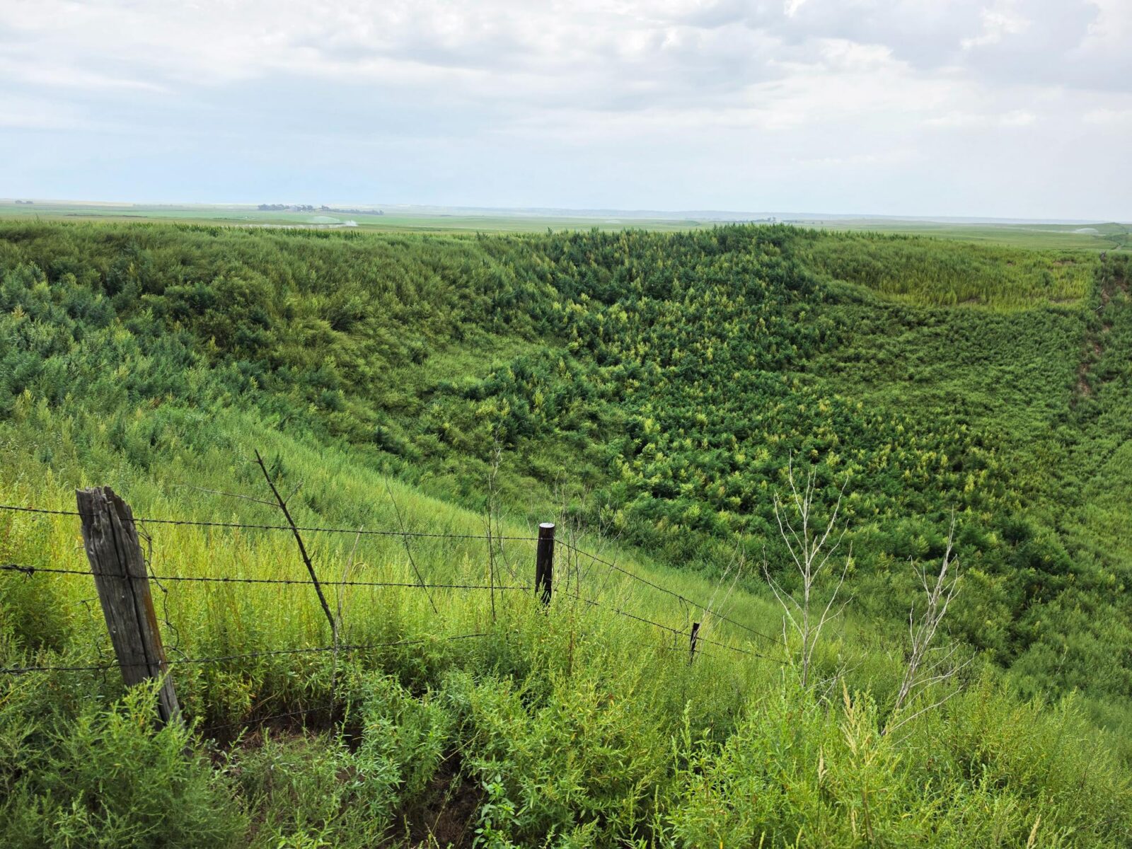 Lincoln County Nebraska ranch pasture land for sale