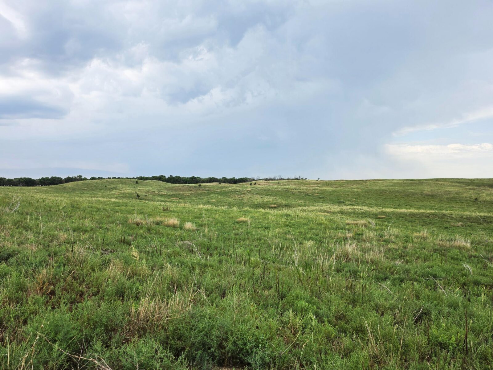 Lincoln County Nebraska ranch pasture land for sale