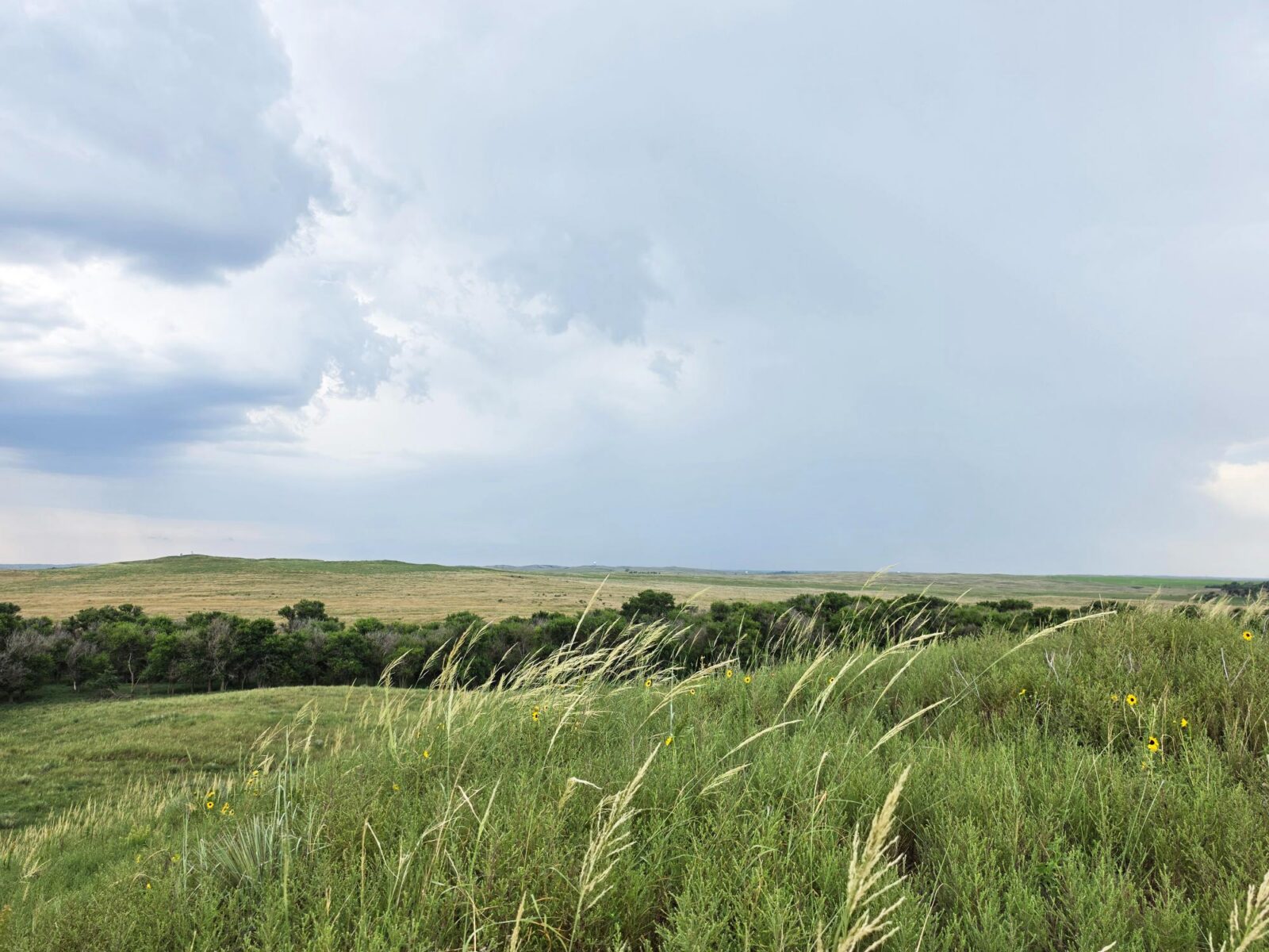 Lincoln County Nebraska ranch pasture land for sale