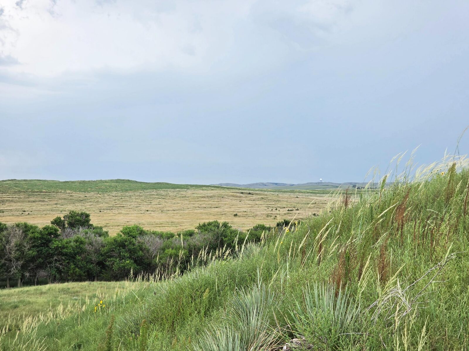 Lincoln County Nebraska ranch pasture land for sale