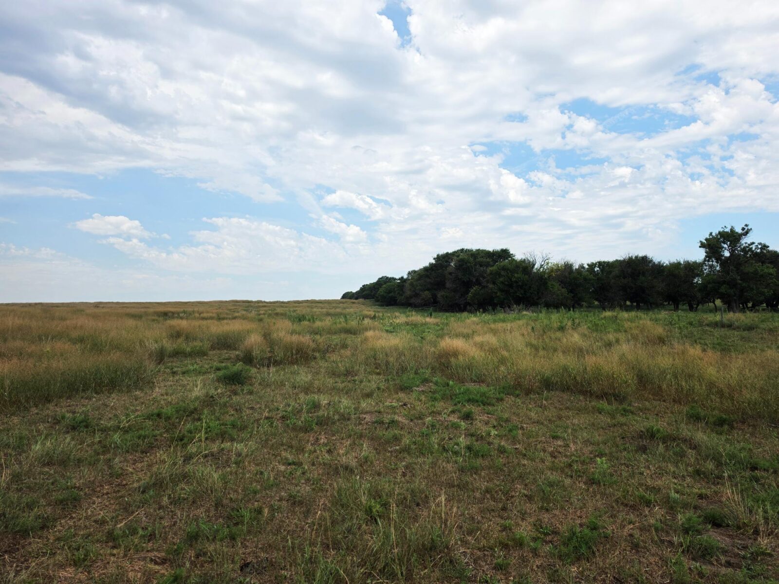Lincoln County Nebraska ranch pasture land for sale