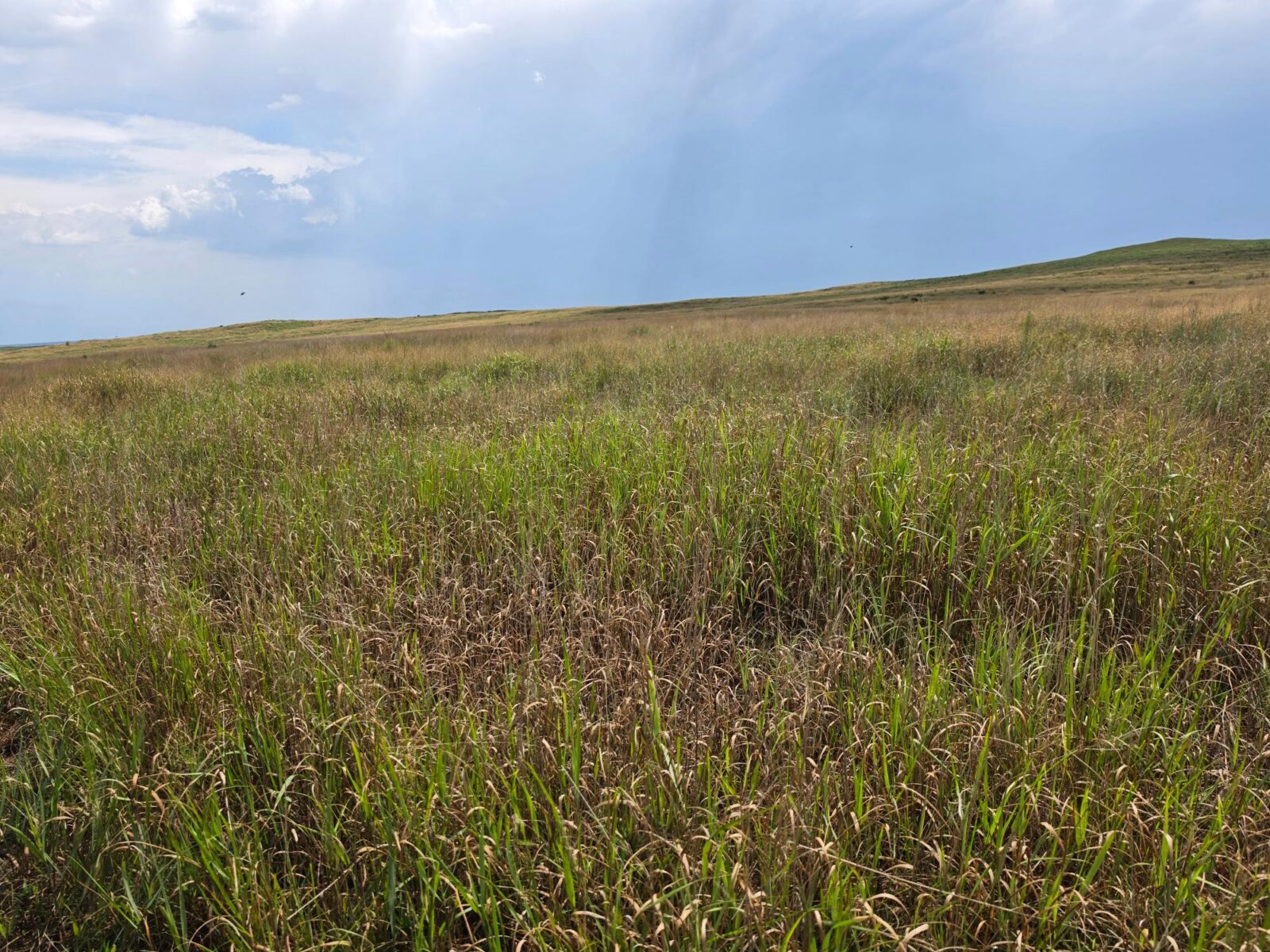 Lincoln County Nebraska ranch pasture land for sale