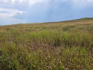 Lincoln County Nebraska ranch pasture land for sale