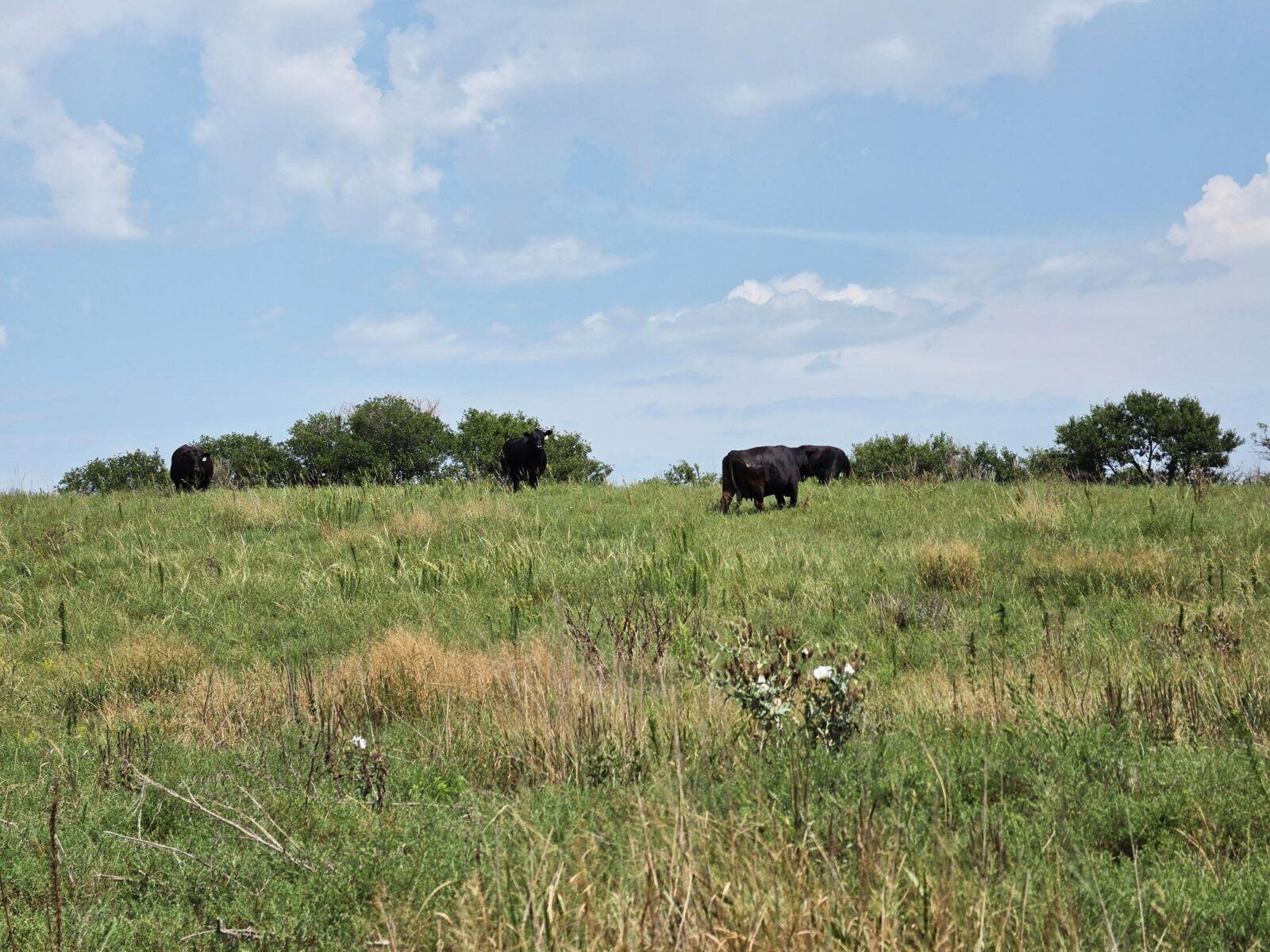 Lincoln County Nebraska ranch pasture land for sale