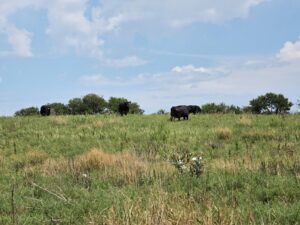 Lincoln County Nebraska ranch pasture land for sale