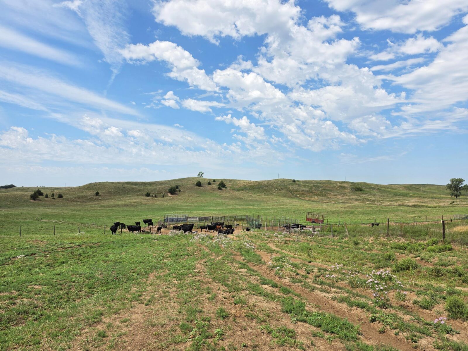 Lincoln County Nebraska ranch pasture land for sale