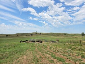 Lincoln County Nebraska ranch pasture land for sale