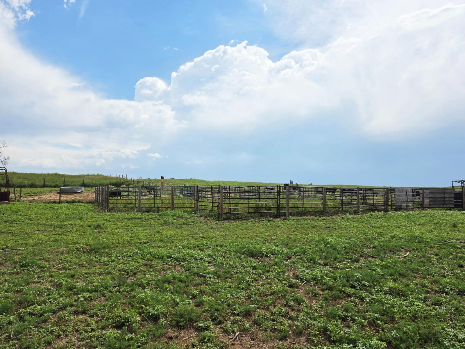 Lincoln County Nebraska ranch pasture land for sale