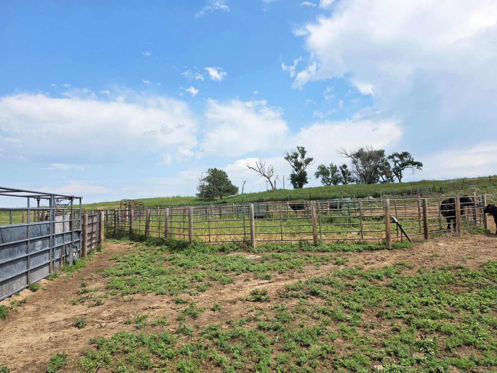 Lincoln County Nebraska ranch pasture land for sale