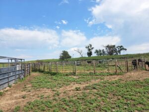 Lincoln County Nebraska ranch pasture land for sale