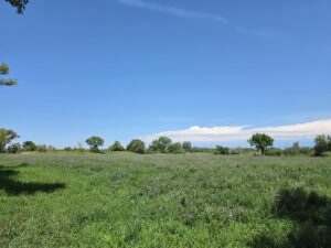 Farm for sale Lincoln County, NE