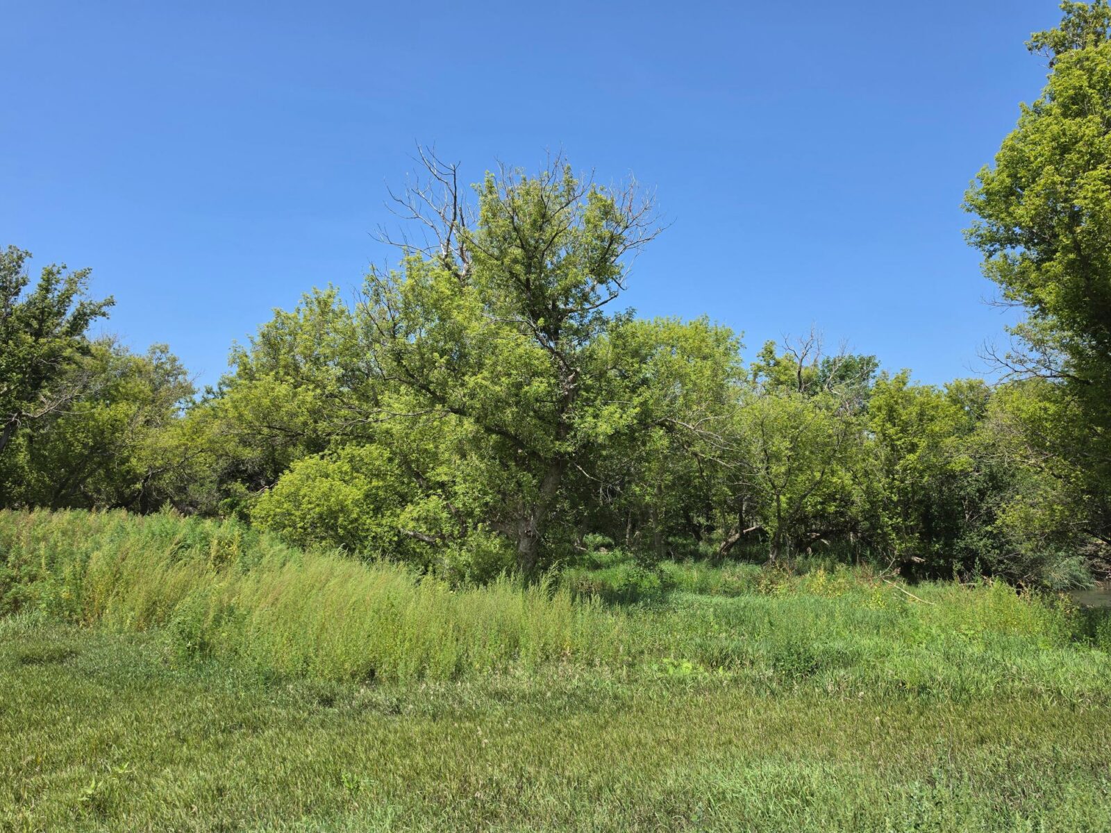 Farm for sale Lincoln County, NE