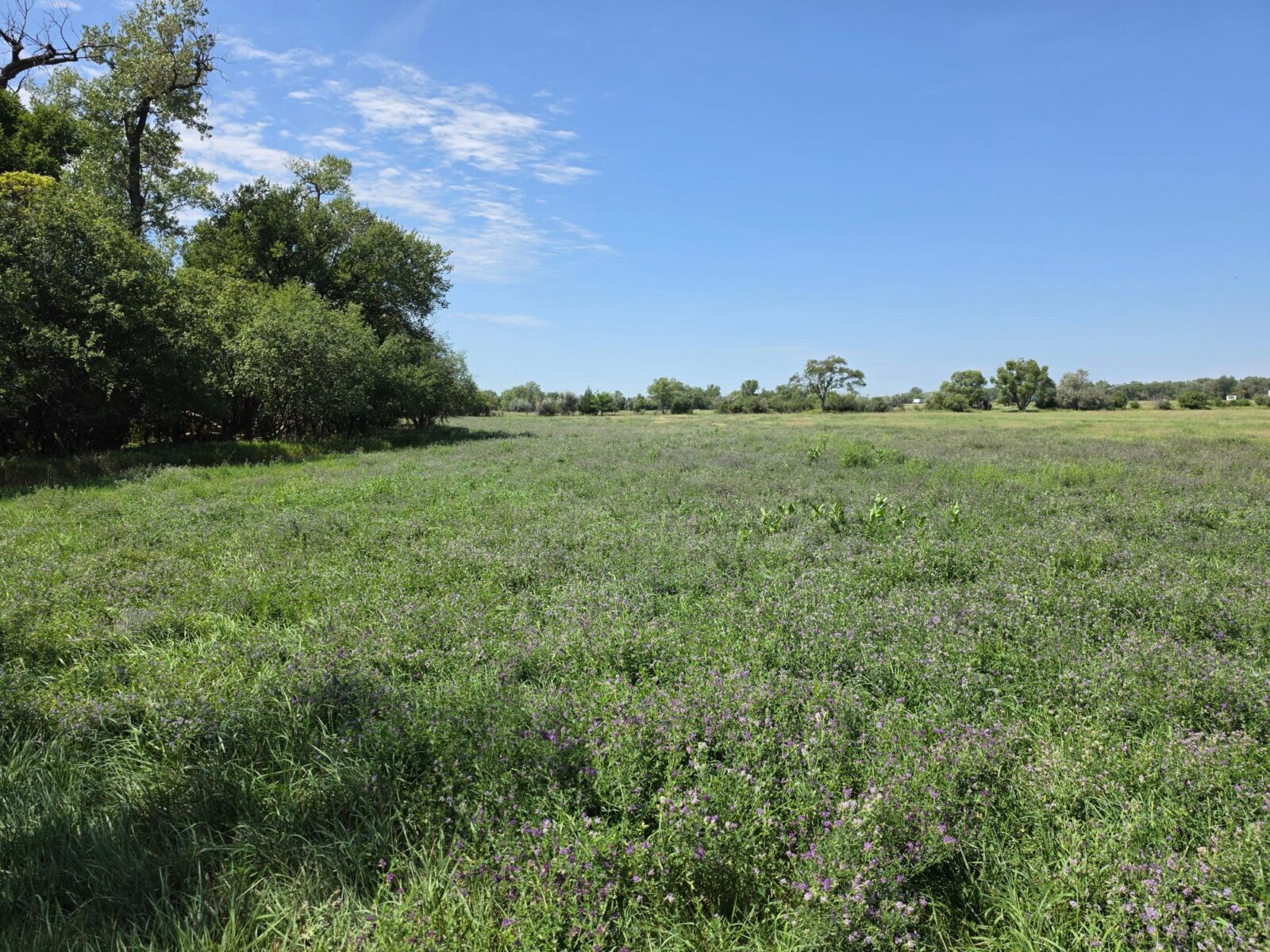 Farm for sale Lincoln County, NE