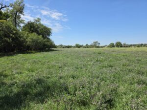Farm for sale Lincoln County, NE