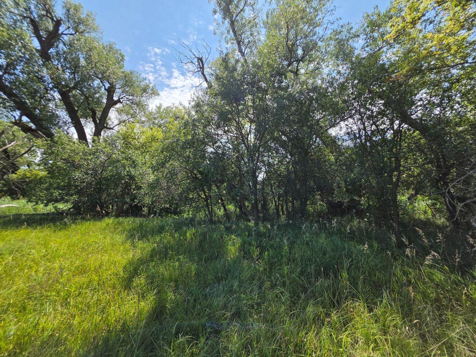 Farm for sale Lincoln County, NE