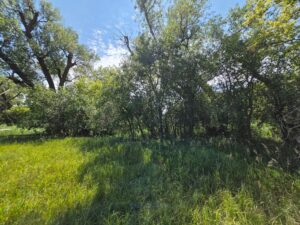 Farm for sale Lincoln County, NE