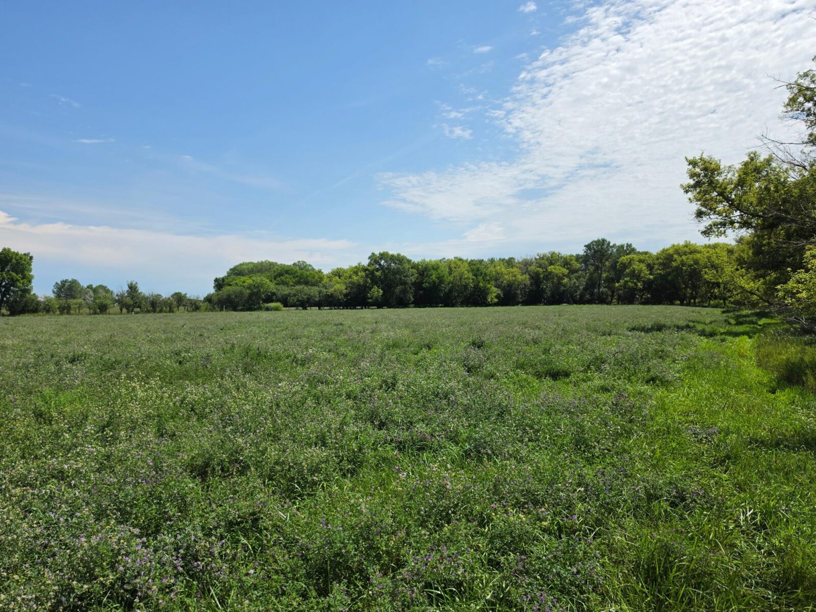 Farm for sale Lincoln County, NE
