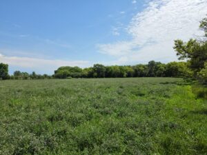 Farm for sale Lincoln County, NE