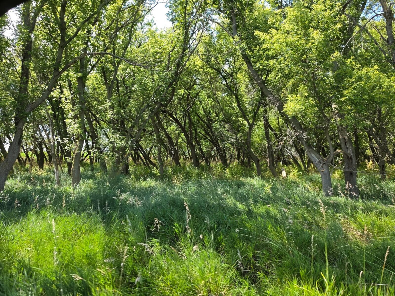 Farm for sale Lincoln County, NE