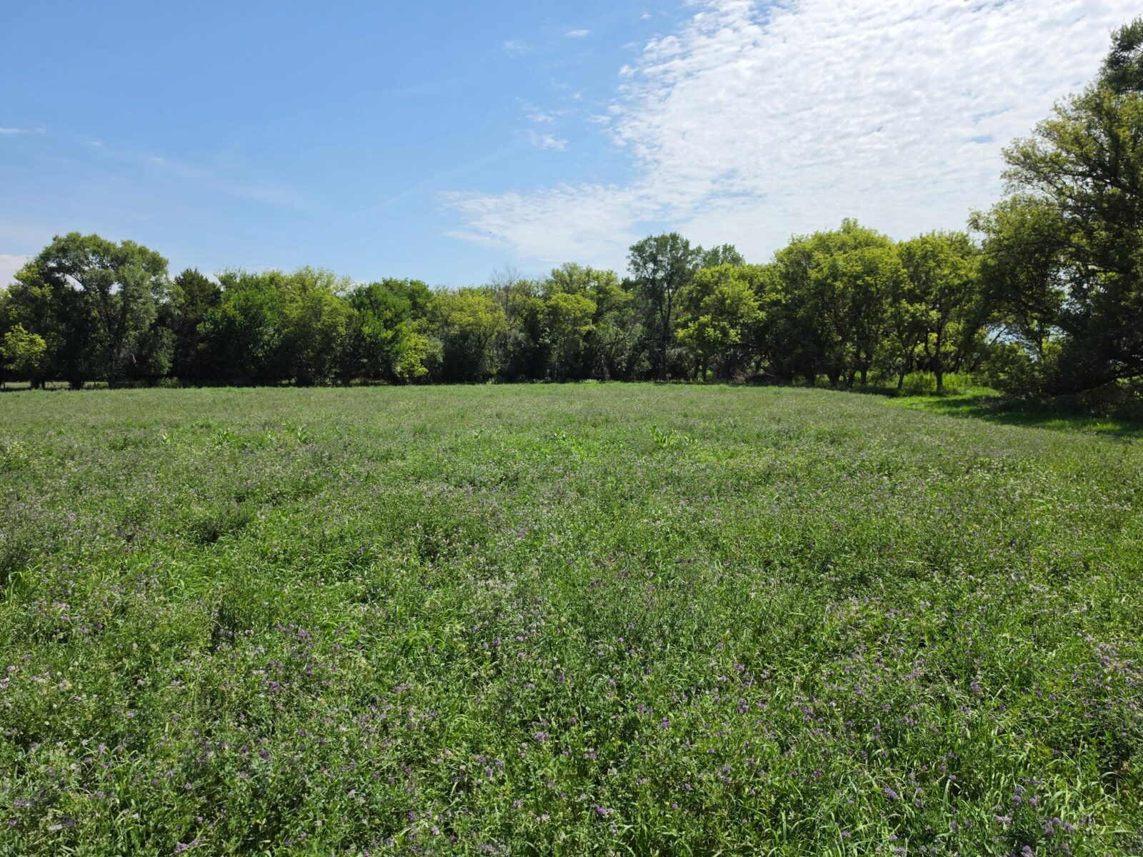Farm for sale Lincoln County, NE